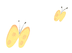 蝶々：イラスト